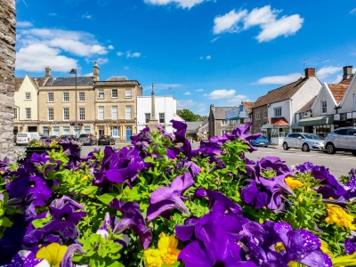 Sodbury in Bloom