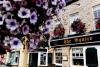 Sodbury in Bloom 2010 - photo from RichMcD